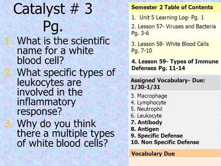 Catalyst # 3 Pg. 1. 1.What is the scientific name for a white blood cell? 2. 2.What specific types of leukocytes are involved in the inflammatory response?