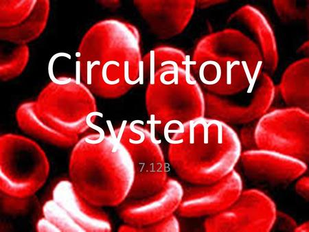 Circulatory System 7.12B. Circulatory System Is a network in our bodies, similar to a highway. Transports nutrients and oxygen to the body BUT HOW???