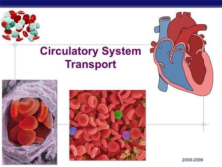 Regents Biology 2008-2009 Circulatory System Transport.