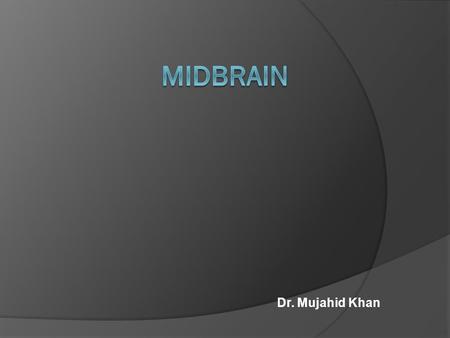 Dr. Mujahid Khan. Divisions  Midbrain is formally divided into dorsal and ventral parts at the level of cerebral aqueduct  The dorsal portion is known.