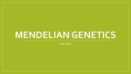 MENDELIAN GENETICS Unit Four. Gregor Mendel Discovered principals of genetics Used peas to prove his inheritance theory Before Mendel, people thought.