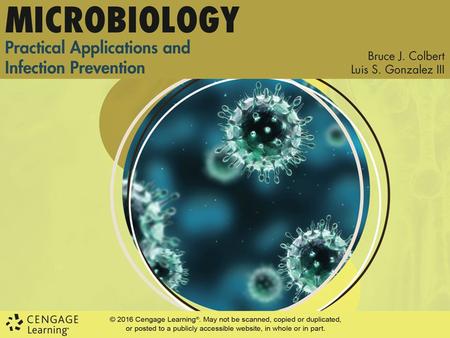 CHAPTER 6 Microbiology-Related Procedures