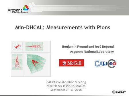 Min-DHCAL: Measurements with Pions Benjamin Freund and José Repond Argonne National Laboratory CALICE Collaboration Meeting Max-Planck-Institute, Munich.