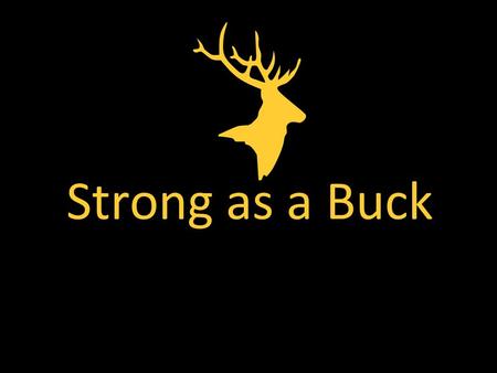 Strong as a Buck. Meet The Team Warn Wilson John Clark Dre Crumbly Electrical Engineering Computer Engineering.