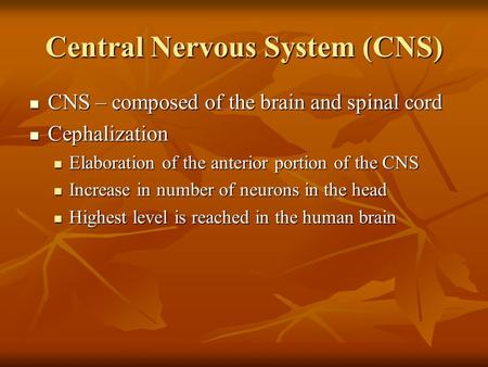 Central Nervous System (CNS) CNS – composed of the brain and spinal cord CNS – composed of the brain and spinal cord Cephalization Cephalization Elaboration.
