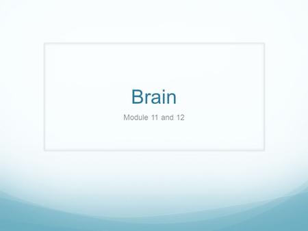 Brain Module 11 and 12.