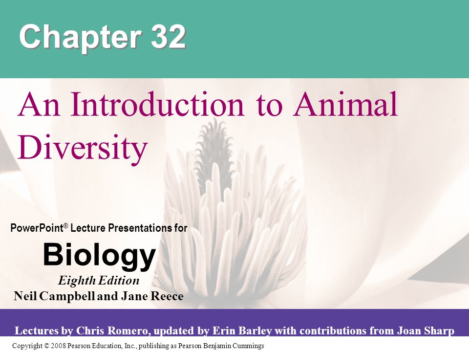 An Introduction to Animal Diversity - ppt video online download