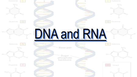 DNA and RNA http://academy.d20.co.edu/kadets/lundberg/images/biology/dna21.gif – DNA image.