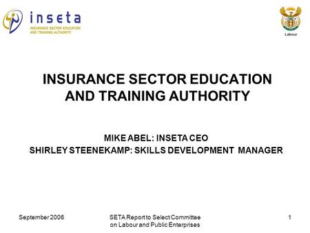 September 2006SETA Report to Select Committee on Labour and Public Enterprises 1 Labour MIKE ABEL: INSETA CEO SHIRLEY STEENEKAMP: SKILLS DEVELOPMENT MANAGER.