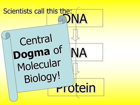 Central Dogma of Molecular Biology!