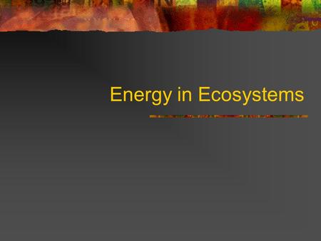 Energy in Ecosystems ALL LIVING THINGS USE ENERGY The earth is SOLAR POWERED! The source of all energy for ecosystems is the Sun.