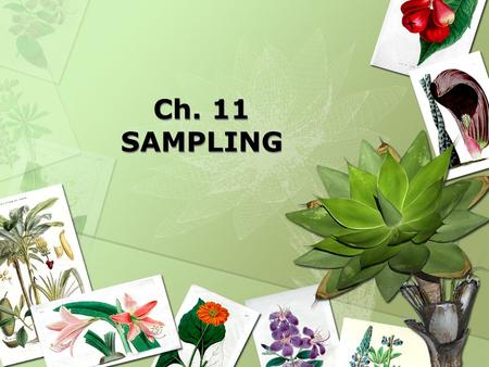 Ch. 11 SAMPLING. Sampling Sampling is the process of selecting a sufficient number of elements from the population.