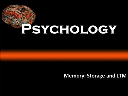 Psychology: An Introduction Charles A. Morris & Albert A. Maisto © 2005 Prentice Hall Memory: Storage and LTM Psychology.