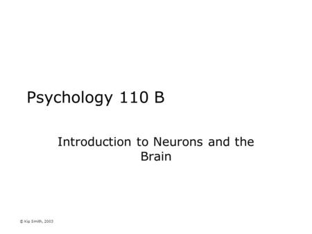 © Kip Smith, 2003 Psychology 110 B Introduction to Neurons and the Brain.