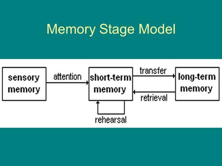 Memory Stage Model. Sensory Memory Iconic (Visual ) Echoic (Auditory)