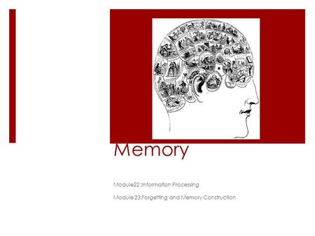 Memory Module22 :Information Processing