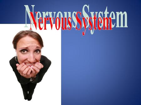 3 Functions of the Nervous System (SIM) 1. Sensory input—gathering information – monitor changes inside and outside the body – changes = stimuli – sensory.