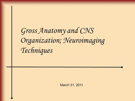 Gross Anatomy and CNS Organization; Neuroimaging Techniques March 31, 2011.