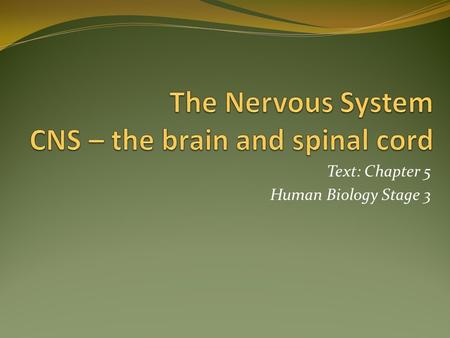 Text: Chapter 5 Human Biology Stage 3. Keywords Central nervous system (CNS) Cerebrospinal fluid (CSF) Meninges Neurons Cell body Dentrites Axon Synapse.
