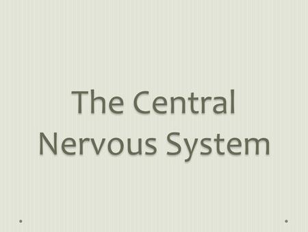 The Central Nervous System. The CNS coordinates the activities that go on within the body. It also processes and analyzes the information brought in by.