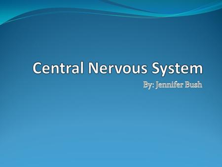 The central nervous system function is mainly to send and interrupt messages throughout the body. It allows us to react to stimuli, sends chemicals that.