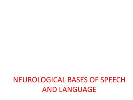NEUROLOGICAL BASES OF SPEECH AND LANGUAGE