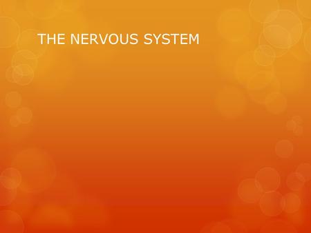 THE NERVOUS SYSTEM. The Control Center of the Body  The nervous system is your body’s control center  Carries messages to and from your brain and the.