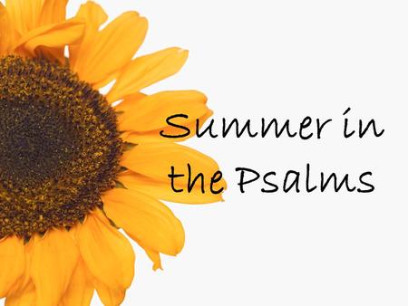 Summer in the Psalms. Psalms is the Bible's hymnal.