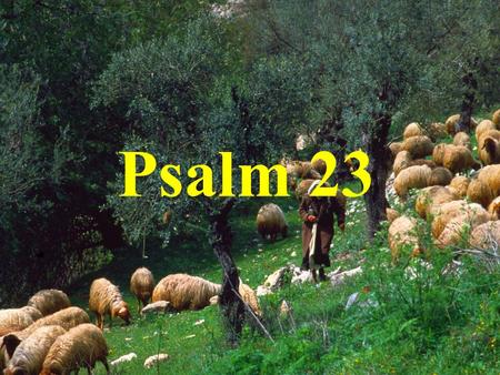 Psalm 23. The Lord is my shepherd, I have. everything I need.