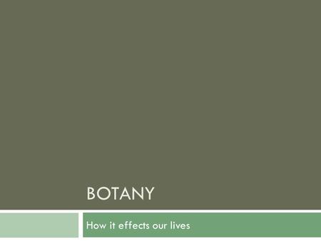 BOTANY How it effects our lives. What is Botany?  Study of plants  Different Fields  Agronomy Crop Production  Phytochemistry Plant chemistry/products.