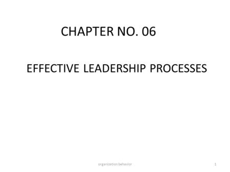 EFFECTIVE LEADERSHIP PROCESSES