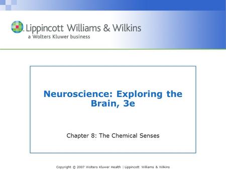 Copyright © 2007 Wolters Kluwer Health | Lippincott Williams & Wilkins Neuroscience: Exploring the Brain, 3e Chapter 8: The Chemical Senses.