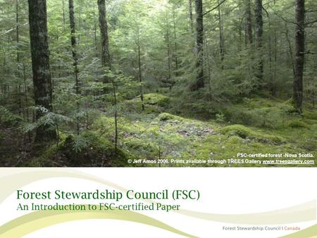 Forest Stewardship Council (FSC) An Introduction to FSC-certified Paper FSC-certified forest -Nova Scotia. © Jeff Amos 2006. Prints available through TREES.