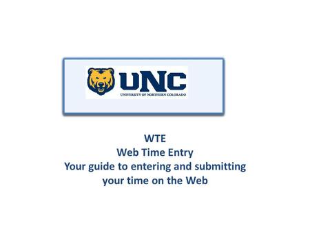 WTE Web Time Entry Your guide to entering and submitting your time on the Web.