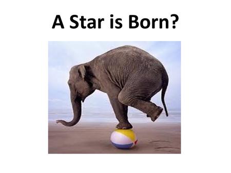 A Star is Born?. Teenager? Definition: A mammal found extensively throughout the planet, often clustered in groups in front of television sets...