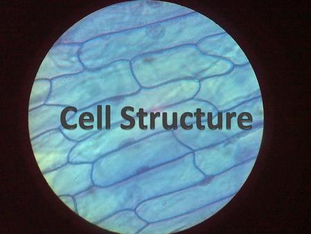 COMMON CELL TRAITS A cell is the basic unit of all living organisms.