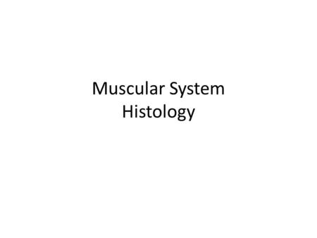 Muscular System Histology. Figure 3.32- Longitudinal section of skeletal muscle tissue.