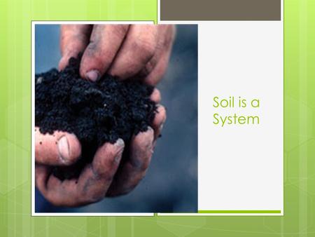 Soil is a System. How do soils form? Mineralization: decomposition or oxidation of the chemical compounds in organic matter into plant-accessible forms.