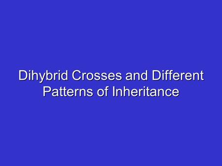 Dihybrid Crosses and Different Patterns of Inheritance.