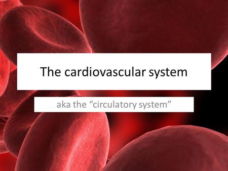 The cardiovascular system aka the “circulatory system”
