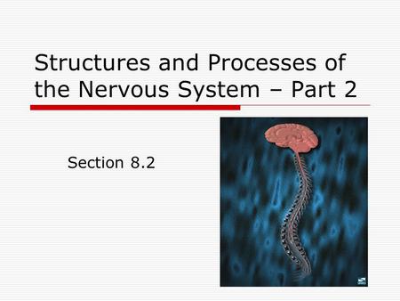 Structures and Processes of the Nervous System – Part 2