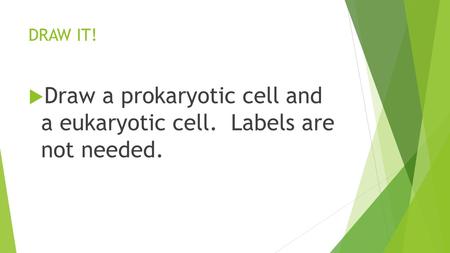 DRAW IT!  Draw a prokaryotic cell and a eukaryotic cell. Labels are not needed.