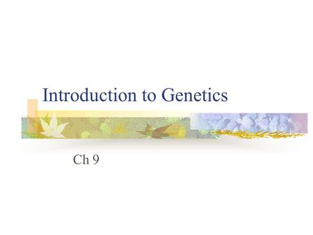 Introduction to Genetics Ch 9. The Work of Gregor Mendel A. The branch of biology that studies heredity is called genetics. B. Gregor Mendel is considered.