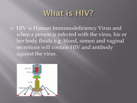  HIV is Human Immunodeficiency Virus and when a person is infected with the virus, his or her body fluids e.g. blood, semen and vaginal secretions will.