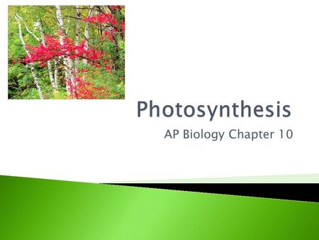 AP Biology Chapter 10.  “photo”=light  “synthesis”=to build  Photosynthesis is the process that converts solar energy to chemical energy.  Directly.