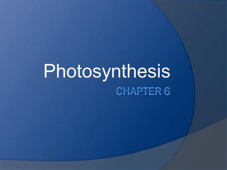 Photosynthesis. What is it?  Photosynthesis is the process of converting light energy to chemical energy and storing it in the bonds of sugar.  Plants.