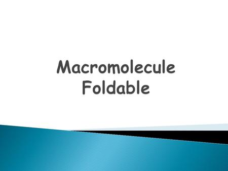 Macromolecule Foldable