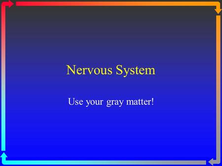 Nervous System Use your gray matter!. Central Nervous System Communication and coordination system of the body Seat of intellect and reasoning Consists.