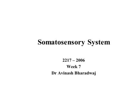 Somatosensory System 2217 – 2006 Week 7 Dr Avinash Bharadwaj.