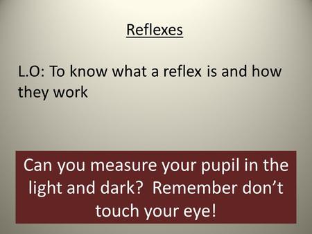 Reflexes L.O: To know what a reflex is and how they work